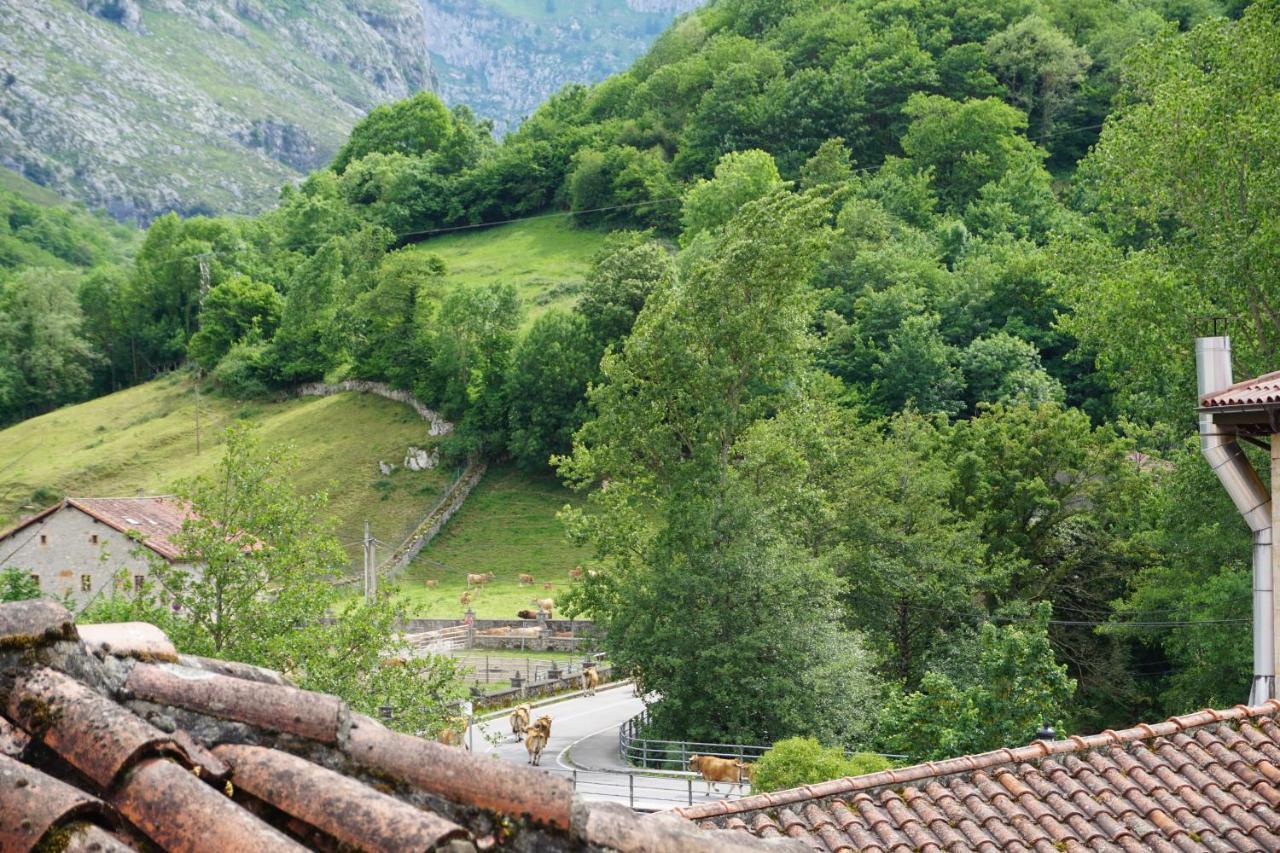 Apartahotel Montecaoru Arenas De Cabrales Extérieur photo